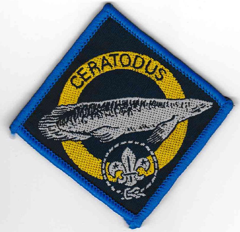 Ceratodus